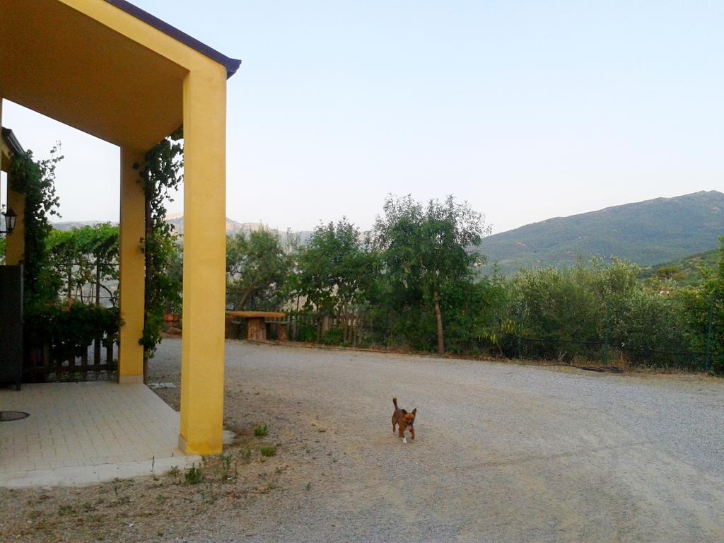 Villaggio Dei Balocchi Castelbuono  Exterior foto